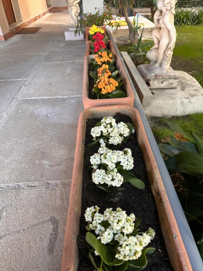 Ajoaolbia B&B 외부 사진