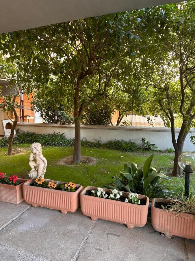 Ajoaolbia B&B 외부 사진