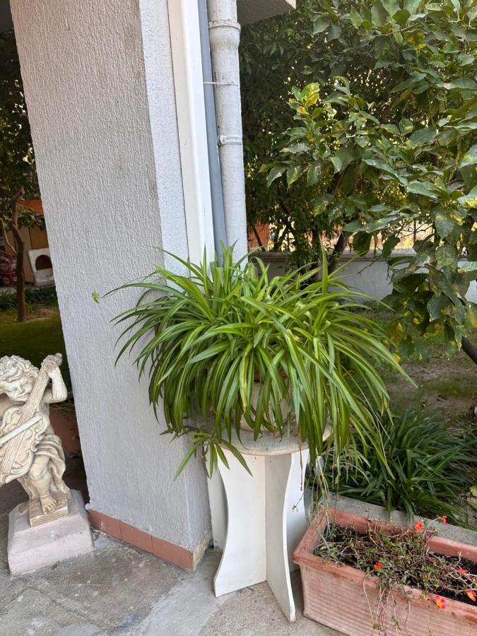 Ajoaolbia B&B 외부 사진